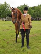 Image 49 in BECCLES AND BUNGAY RIDING CLUB. OPEN SHOW. 19 JUNE 2016. RINGS 2 3 AND 4