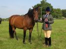 Image 5 in BECCLES AND BUNGAY RIDING CLUB. OPEN SHOW. 19 JUNE 2016. RINGS 2  3  AND 4