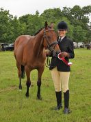Image 50 in BECCLES AND BUNGAY RIDING CLUB. OPEN SHOW. 19 JUNE 2016. RINGS 2 3 AND 4