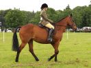 Image 51 in BECCLES AND BUNGAY RIDING CLUB. OPEN SHOW. 19 JUNE 2016. RINGS 2 3 AND 4