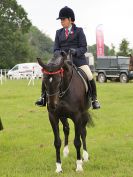 Image 52 in BECCLES AND BUNGAY RIDING CLUB. OPEN SHOW. 19 JUNE 2016. RINGS 2 3 AND 4