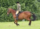 Image 53 in BECCLES AND BUNGAY RIDING CLUB. OPEN SHOW. 19 JUNE 2016. RINGS 2  3  AND 4