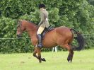 Image 53 in BECCLES AND BUNGAY RIDING CLUB. OPEN SHOW. 19 JUNE 2016. RINGS 2 3 AND 4