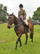 Image 55 in BECCLES AND BUNGAY RIDING CLUB. OPEN SHOW. 19 JUNE 2016. RINGS 2  3  AND 4