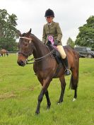 Image 55 in BECCLES AND BUNGAY RIDING CLUB. OPEN SHOW. 19 JUNE 2016. RINGS 2 3 AND 4