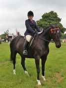 Image 57 in BECCLES AND BUNGAY RIDING CLUB. OPEN SHOW. 19 JUNE 2016. RINGS 2 3 AND 4