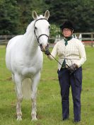 Image 59 in BECCLES AND BUNGAY RIDING CLUB. OPEN SHOW. 19 JUNE 2016. RINGS 2 3 AND 4