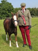 Image 6 in BECCLES AND BUNGAY RIDING CLUB. OPEN SHOW. 19 JUNE 2016. RINGS 2  3  AND 4