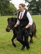 Image 60 in BECCLES AND BUNGAY RIDING CLUB. OPEN SHOW. 19 JUNE 2016. RINGS 2 3 AND 4