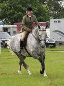 Image 61 in BECCLES AND BUNGAY RIDING CLUB. OPEN SHOW. 19 JUNE 2016. RINGS 2  3  AND 4