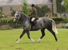 Image 63 in BECCLES AND BUNGAY RIDING CLUB. OPEN SHOW. 19 JUNE 2016. RINGS 2 3 AND 4