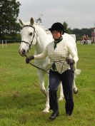 Image 64 in BECCLES AND BUNGAY RIDING CLUB. OPEN SHOW. 19 JUNE 2016. RINGS 2  3  AND 4