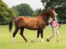 Image 66 in BECCLES AND BUNGAY RIDING CLUB. OPEN SHOW. 19 JUNE 2016. RINGS 2 3 AND 4