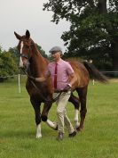 Image 67 in BECCLES AND BUNGAY RIDING CLUB. OPEN SHOW. 19 JUNE 2016. RINGS 2 3 AND 4