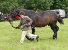 Image 68 in BECCLES AND BUNGAY RIDING CLUB. OPEN SHOW. 19 JUNE 2016. RINGS 2 3 AND 4