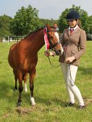 Image 7 in BECCLES AND BUNGAY RIDING CLUB. OPEN SHOW. 19 JUNE 2016. RINGS 2  3  AND 4