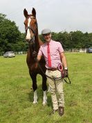 Image 70 in BECCLES AND BUNGAY RIDING CLUB. OPEN SHOW. 19 JUNE 2016. RINGS 2 3 AND 4