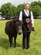 Image 71 in BECCLES AND BUNGAY RIDING CLUB. OPEN SHOW. 19 JUNE 2016. RINGS 2  3  AND 4