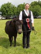 Image 71 in BECCLES AND BUNGAY RIDING CLUB. OPEN SHOW. 19 JUNE 2016. RINGS 2 3 AND 4