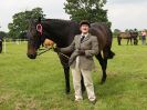 Image 73 in BECCLES AND BUNGAY RIDING CLUB. OPEN SHOW. 19 JUNE 2016. RINGS 2 3 AND 4
