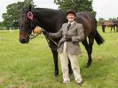 Image 74 in BECCLES AND BUNGAY RIDING CLUB. OPEN SHOW. 19 JUNE 2016. RINGS 2 3 AND 4