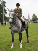 Image 75 in BECCLES AND BUNGAY RIDING CLUB. OPEN SHOW. 19 JUNE 2016. RINGS 2 3 AND 4