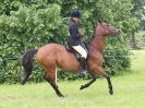 Image 78 in BECCLES AND BUNGAY RIDING CLUB. OPEN SHOW. 19 JUNE 2016. RINGS 2  3  AND 4