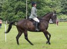 Image 79 in BECCLES AND BUNGAY RIDING CLUB. OPEN SHOW. 19 JUNE 2016. RINGS 2  3  AND 4
