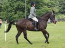 Image 79 in BECCLES AND BUNGAY RIDING CLUB. OPEN SHOW. 19 JUNE 2016. RINGS 2 3 AND 4