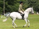 Image 80 in BECCLES AND BUNGAY RIDING CLUB. OPEN SHOW. 19 JUNE 2016. RINGS 2 3 AND 4