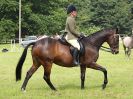 Image 81 in BECCLES AND BUNGAY RIDING CLUB. OPEN SHOW. 19 JUNE 2016. RINGS 2 3 AND 4