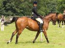 Image 82 in BECCLES AND BUNGAY RIDING CLUB. OPEN SHOW. 19 JUNE 2016. RINGS 2  3  AND 4