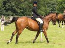 Image 82 in BECCLES AND BUNGAY RIDING CLUB. OPEN SHOW. 19 JUNE 2016. RINGS 2 3 AND 4