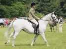 Image 83 in BECCLES AND BUNGAY RIDING CLUB. OPEN SHOW. 19 JUNE 2016. RINGS 2  3  AND 4