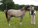 Image 84 in BECCLES AND BUNGAY RIDING CLUB. OPEN SHOW. 19 JUNE 2016. RINGS 2 3 AND 4
