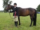 Image 88 in BECCLES AND BUNGAY RIDING CLUB. OPEN SHOW. 19 JUNE 2016. RINGS 2 3 AND 4