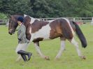 Image 90 in BECCLES AND BUNGAY RIDING CLUB. OPEN SHOW. 19 JUNE 2016. RINGS 2 3 AND 4