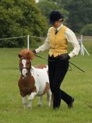 Image 91 in BECCLES AND BUNGAY RIDING CLUB. OPEN SHOW. 19 JUNE 2016. RINGS 2  3  AND 4