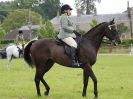 Image 92 in BECCLES AND BUNGAY RIDING CLUB. OPEN SHOW. 19 JUNE 2016. RINGS 2  3  AND 4