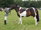 Image 93 in BECCLES AND BUNGAY RIDING CLUB. OPEN SHOW. 19 JUNE 2016. RINGS 2 3 AND 4