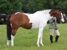 Image 94 in BECCLES AND BUNGAY RIDING CLUB. OPEN SHOW. 19 JUNE 2016. RINGS 2  3  AND 4