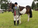 Image 98 in BECCLES AND BUNGAY RIDING CLUB. OPEN SHOW. 19 JUNE 2016. RINGS 2 3 AND 4