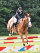 Image 107 in BECCLES AND BUNGAY RIDING CLUB. OPEN SHOW. 19 JUNE 2016. SHOW JUMPING.