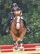 Image 110 in BECCLES AND BUNGAY RIDING CLUB. OPEN SHOW. 19 JUNE 2016. SHOW JUMPING.
