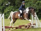 Image 125 in BECCLES AND BUNGAY RIDING CLUB. OPEN SHOW. 19 JUNE 2016. SHOW JUMPING.