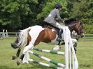 Image 13 in BECCLES AND BUNGAY RIDING CLUB. OPEN SHOW. 19 JUNE 2016. SHOW JUMPING.