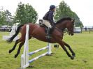 Image 130 in BECCLES AND BUNGAY RIDING CLUB. OPEN SHOW. 19 JUNE 2016. SHOW JUMPING.