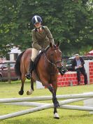 Image 146 in BECCLES AND BUNGAY RIDING CLUB. OPEN SHOW. 19 JUNE 2016. SHOW JUMPING.