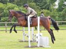 Image 149 in BECCLES AND BUNGAY RIDING CLUB. OPEN SHOW. 19 JUNE 2016. SHOW JUMPING.