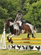 Image 15 in BECCLES AND BUNGAY RIDING CLUB. OPEN SHOW. 19 JUNE 2016. SHOW JUMPING.